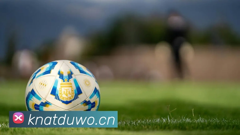 星空平台登录入口服务体系